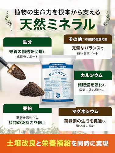 【 コスパ最強の固形肥料 】 10kg サンゴグアノ 天然有機リン酸 海洋ミネラル豊富 土壌改良 野菜 肥料 元肥 天然 有機 リン酸 土壌 改良 植物 成長 開花 ガーデニング 初心者 安心 効果 持続 健康 栄養 ミネラル
